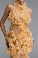 Lade Bild in die Galerieansicht, Rayna Elegant Contour High Neck Floral Mesh Beige Maxi Dress
